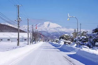 对北方的雪的理解 鲁迅写的