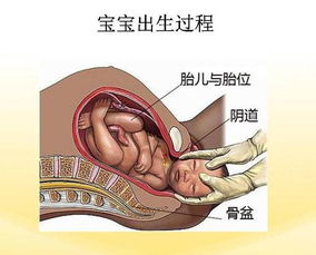 卵黄囊多少大才正常