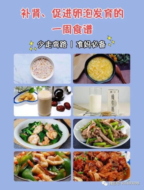 备孕食补如何调理体质