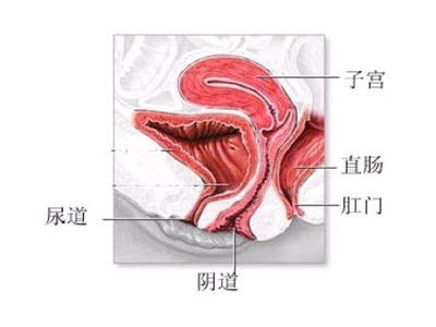 妇女有前庭大腺炎能吃什么药