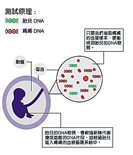 与性别有关的遗传病