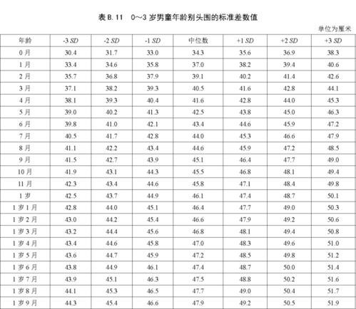 胎儿每月发育对照表