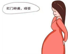 女性孕期如何避免出现便秘症状