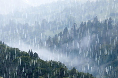 大下雨天应景的心情说说