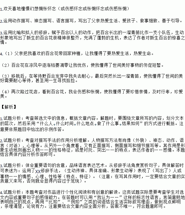 摘抄点面结合的句子