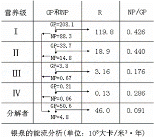 西方国家的男性择偶标准跟中国的有哪些异同