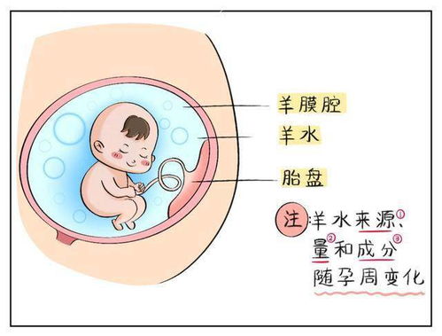 分娩方式的比较