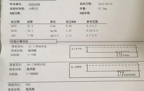 唐氏筛查高风险能生吗?