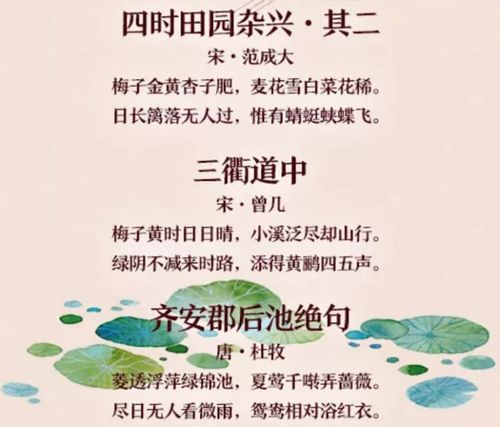 表示夏天的诗句二年级