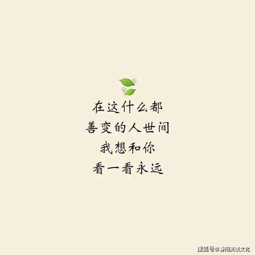 抖音句子摘抄