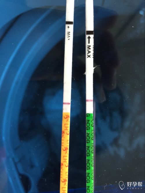 测试排卵试纸一深一浅同房会怀孕吗