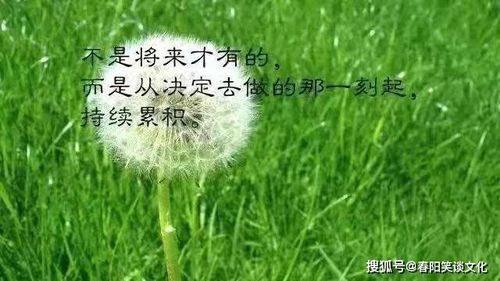 女人养花的心情说说 心情短语