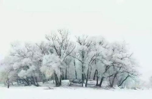 为什么会有春天下雪的现象？