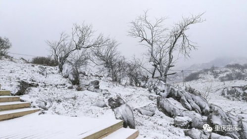 为什么会有春天下雪的现象？