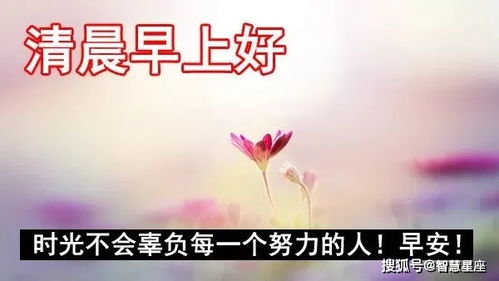 充满阳光正能量短句