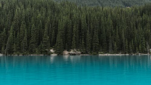 朋友圈配风景图的文案