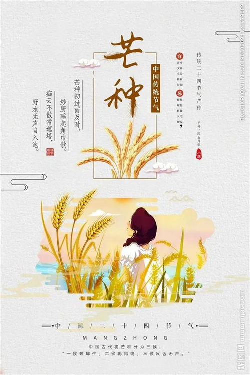 芒种的唯美句子