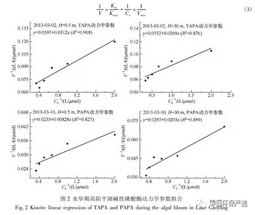 碱性磷酸酶偏高