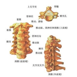 颈椎病贴什么膏药好？