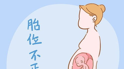 孕7个月宝宝稳定了吗