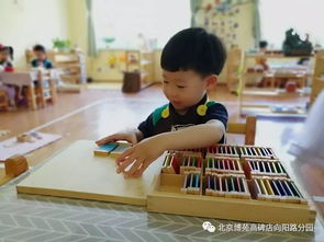 蒙特梭利教育与一般传统幼儿教育究竟有什么区别