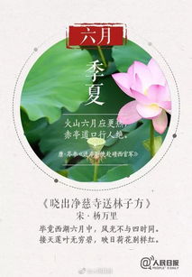 清明节美篇范文