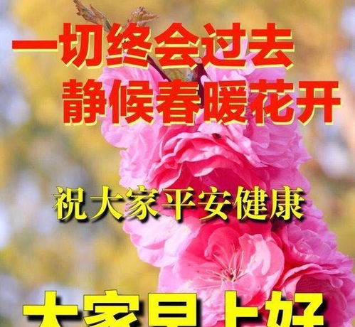 朋友早晨简短问候祝福语