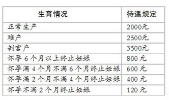 个人可以缴纳生育保险费吗