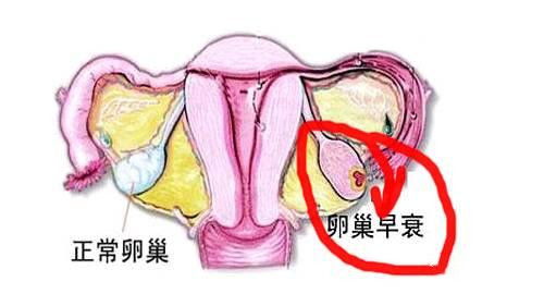 他这样做不对