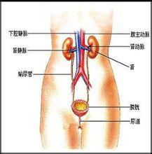 急性乳腺炎的防治方法有哪些