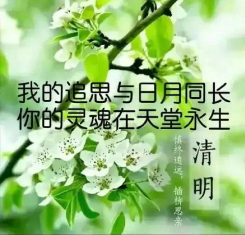 寄往天堂的思念作文