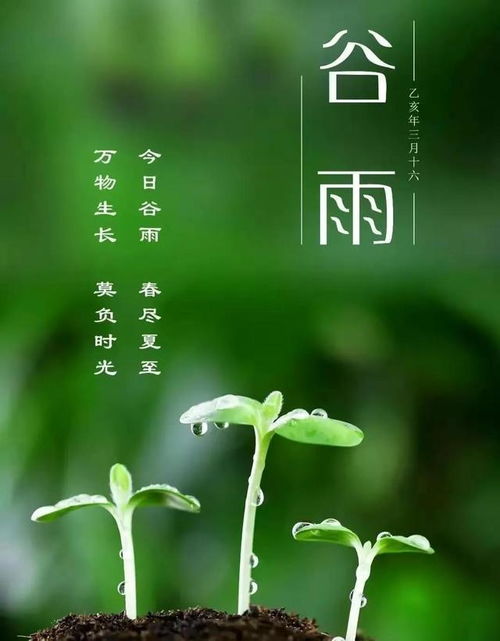 什么是谷雨节气？？