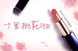 雅诗兰黛New pure color love口红多少钱