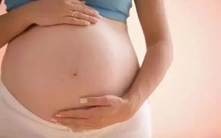 怀孕15天能检查出双胞胎吗视频
