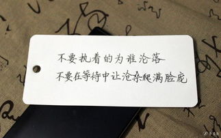 村上春树治愈段落