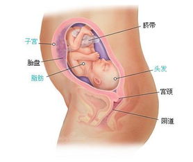 怀孕37周会有什么症状吗图片