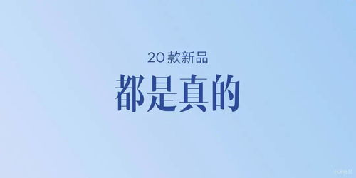 2023文案最新