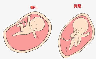 胎宝宝饿了会发出哪些信号