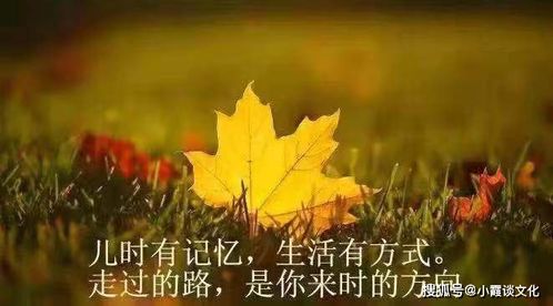 大病后的感悟经典句子