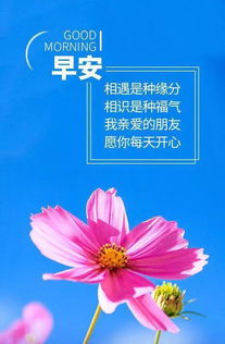 早安共勉的优美句子