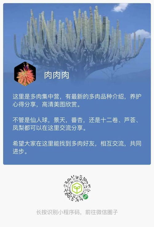 对明年的期望的文案