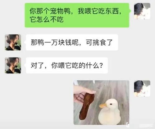 520文案幽默搞笑段子