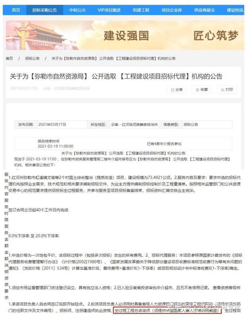 资阳咨询工程师报名网站