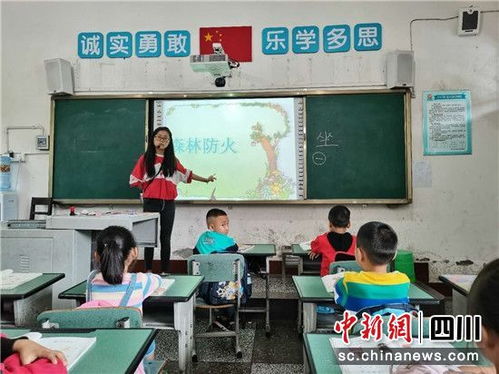 森林防火手抄报怎么拼