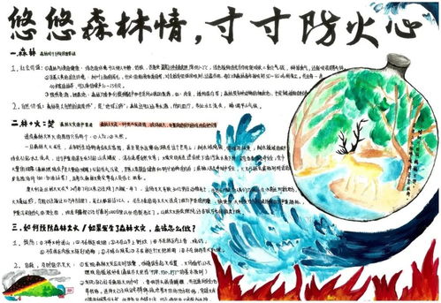 森林防火手抄报怎么拼