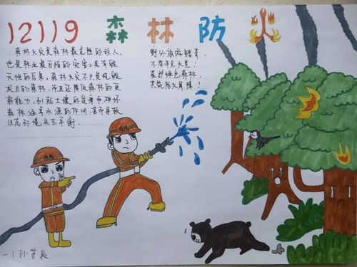 森林防火手抄报怎么拼