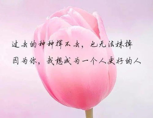 发朋友圈的句子致自己简短