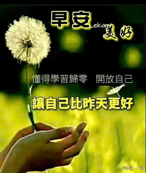 早晨文案短句干净治愈