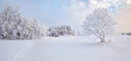 十月份石卡雪山有雪吗?