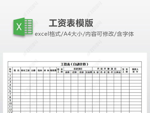 工资表内容